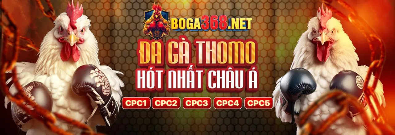 Trải nghiệm 789win ngay